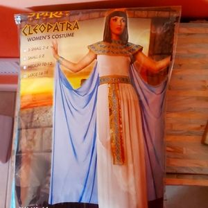 Adult women's costume large size 14_16